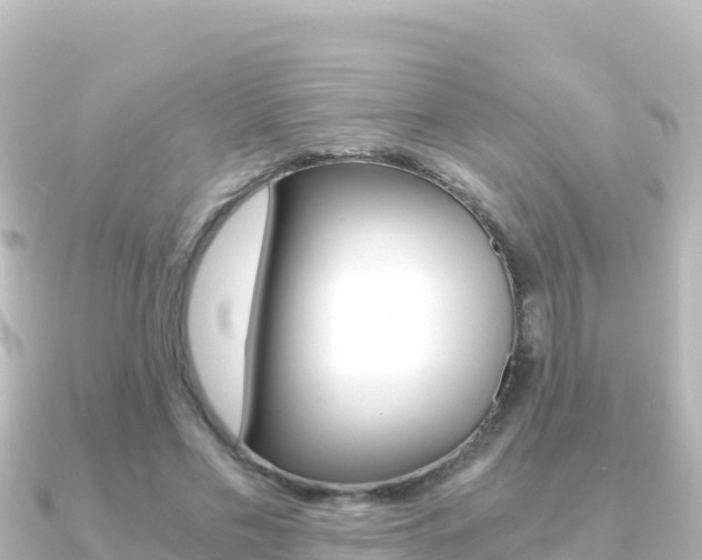 X0000091240589200708091132