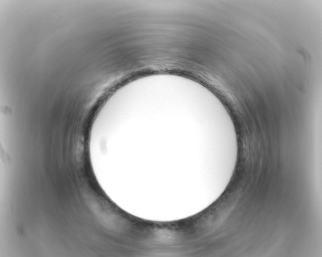 X0000091240592200708091132