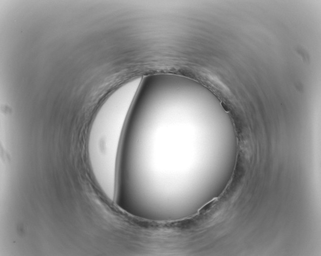 X0000091240593200708091132