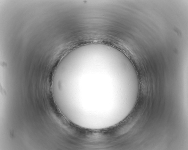 X0000091240594200708091132