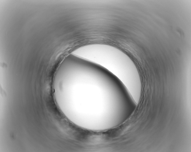 X0000091240595200708091132