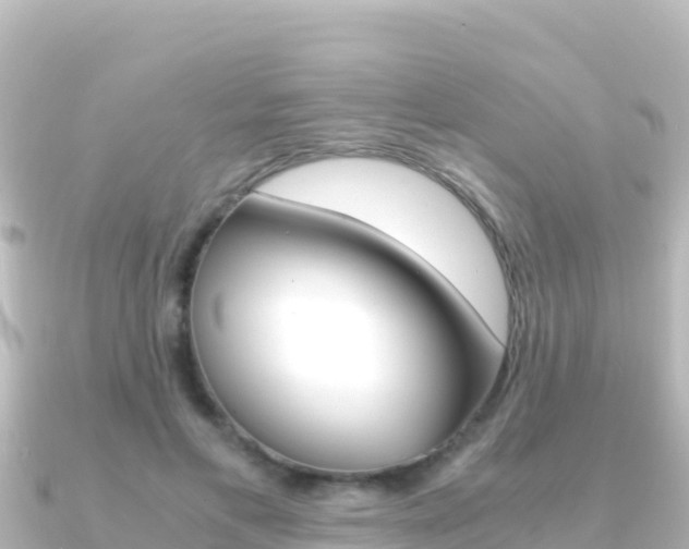X0000091240597200708091132