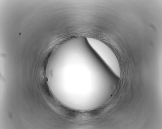 X0000091240599200708091132