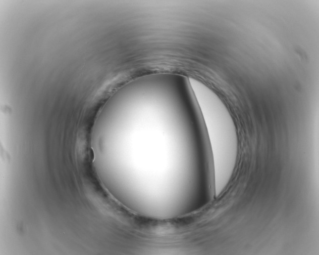 X0000091240600200708091132