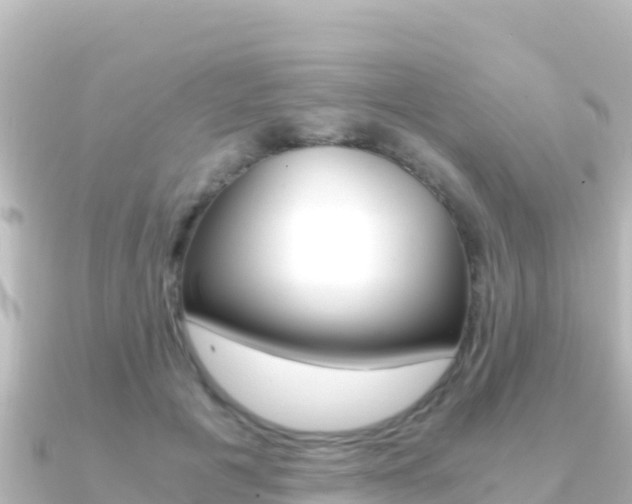 X0000091240601200708091132