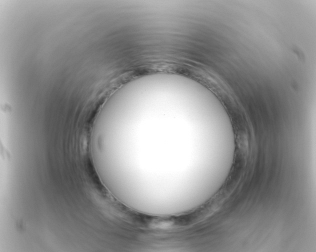 X0000091240602200708091132