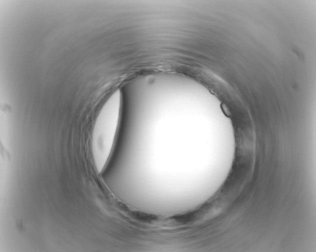 X0000091240603200708091132