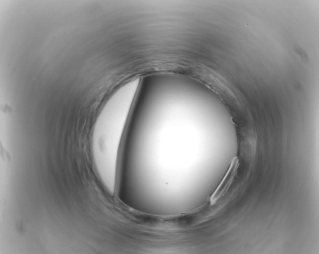 X0000091240604200708091132