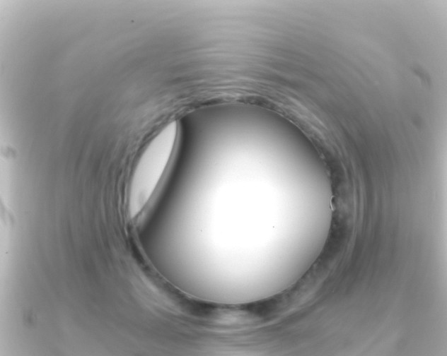 X0000091240605200708091132