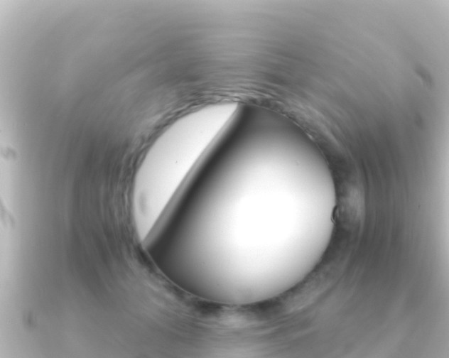 X0000091240608200708091132