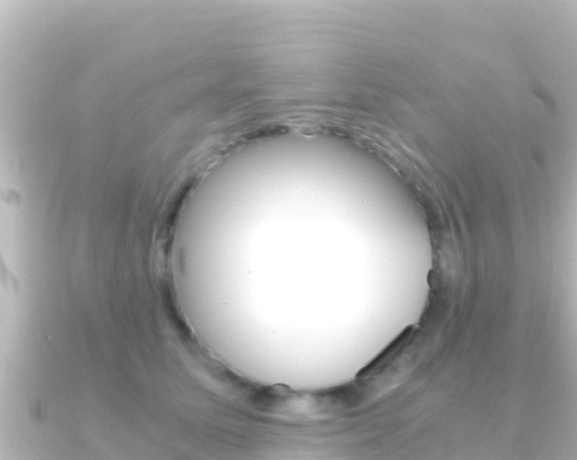 X0000091240611200708091132
