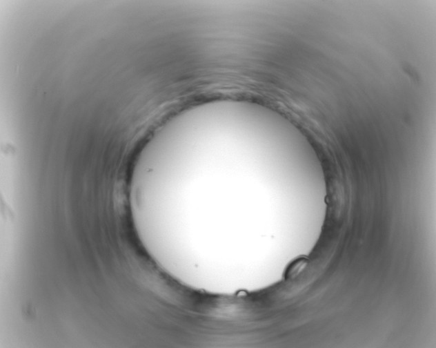 X0000091240612200708091132