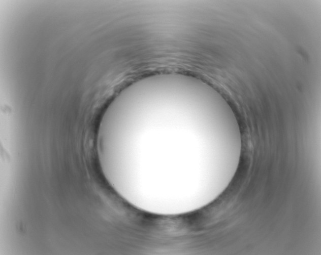 X0000091240615200708091132