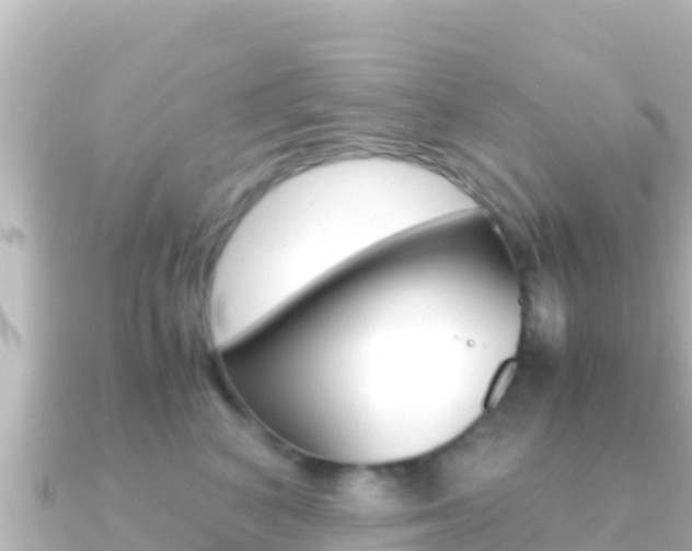 X0000091240616200708091132