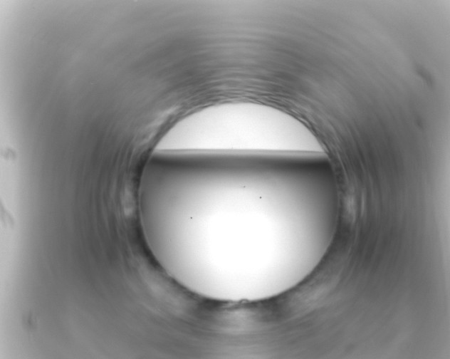 X0000091240620200708091132