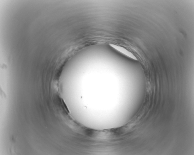 X0000091240621200708091132