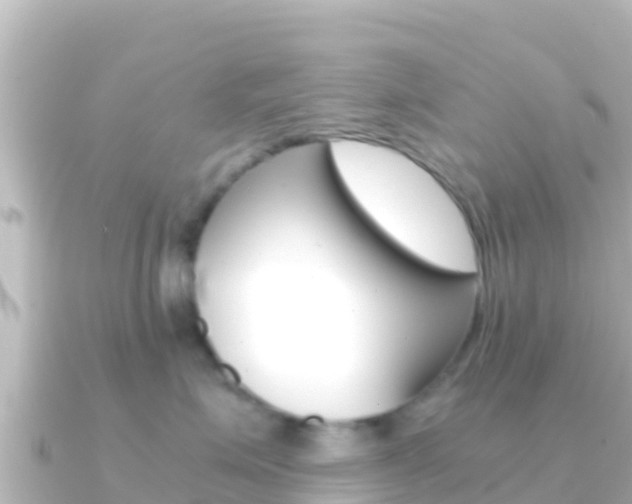 X0000091240623200708091132