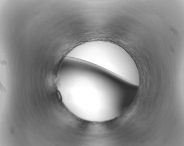 X0000091240624200708091132