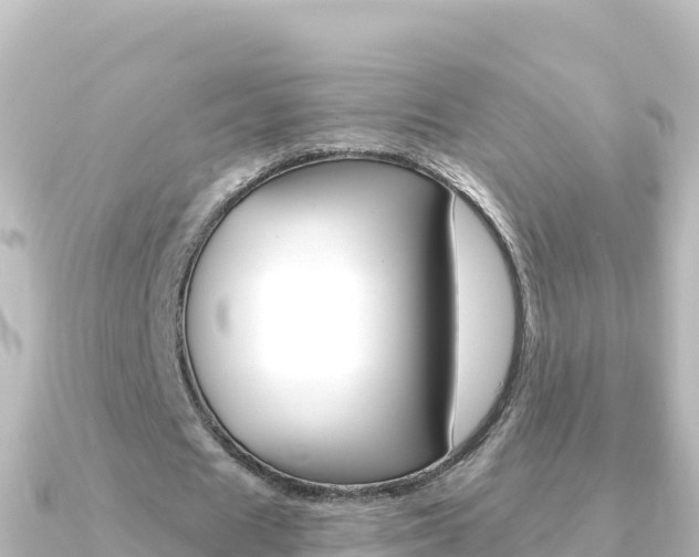 X0000091240625200708091131