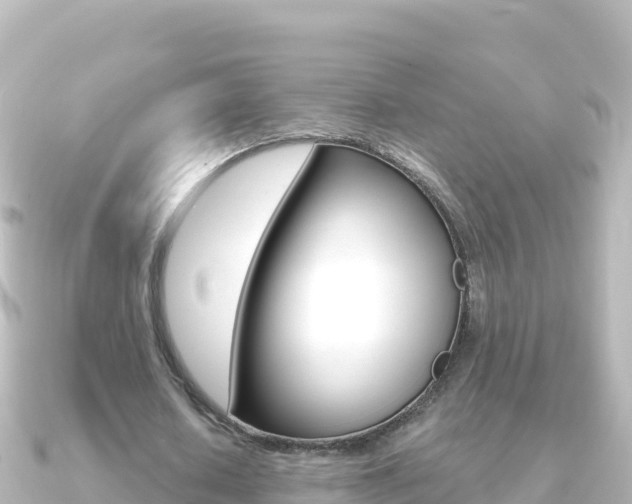 X0000091240626200708091131