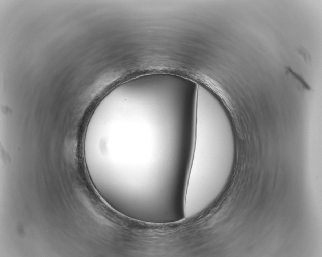 X0000091240627200708091131