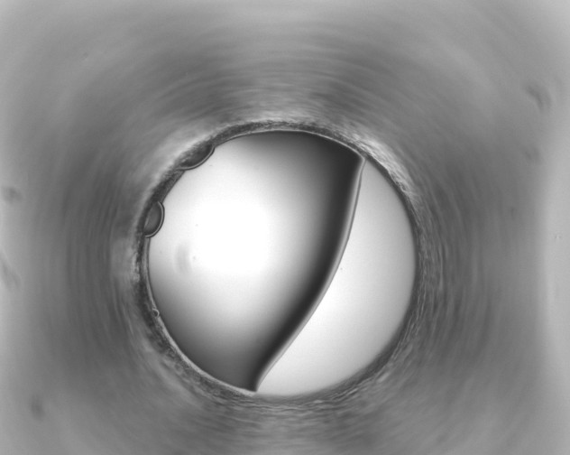 X0000091240628200708091131