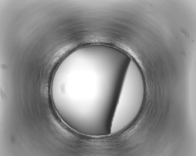 X0000091240629200708091131