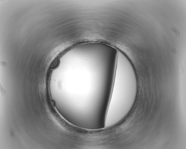 X0000091240630200708091131