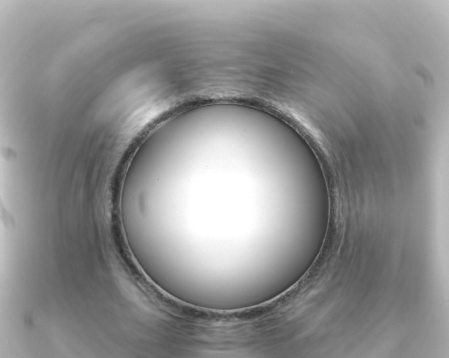 X0000091240631200708091131