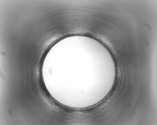 X0000091240632200708091131