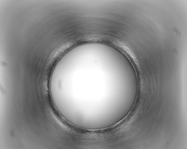 X0000091240633200708091131