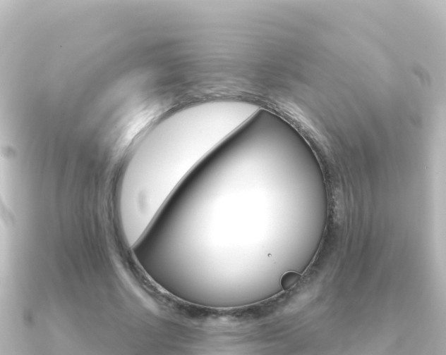 X0000091240634200708091131
