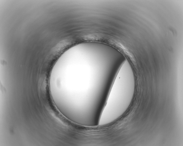 X0000091240637200708091132