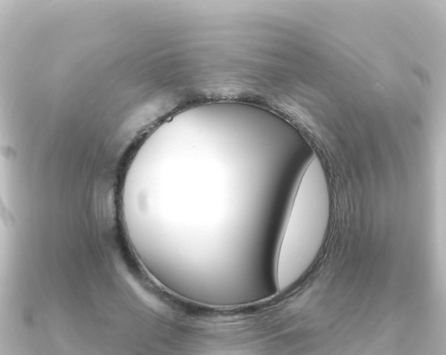 X0000091240638200708091132