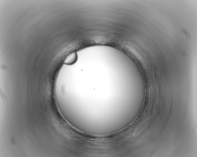 X0000091240639200708091132