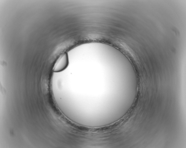 X0000091240640200708091132