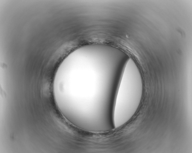 X0000091240641200708091132