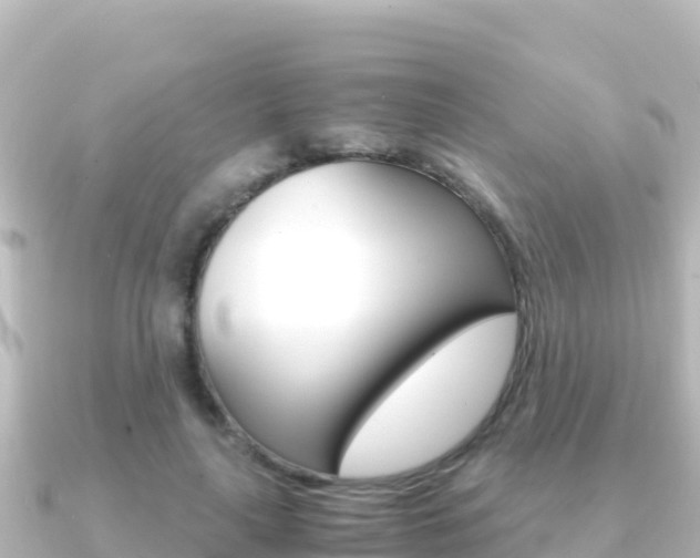 X0000091240643200708091132
