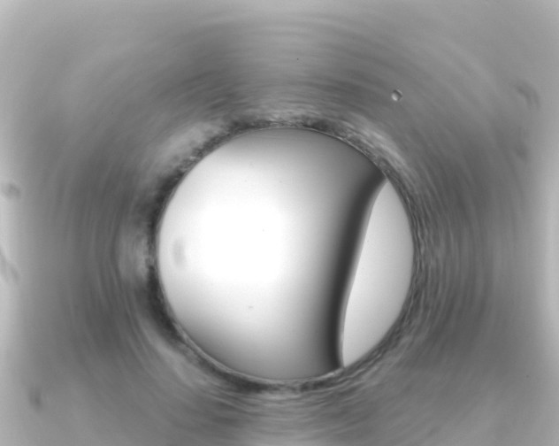 X0000091240644200708091132