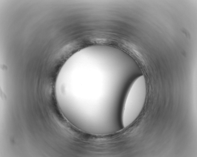 X0000091240645200708091132