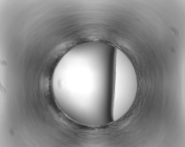 X0000091240646200708091132