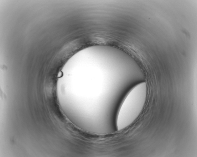 X0000091240647200708091132