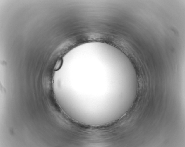 X0000091240648200708091132