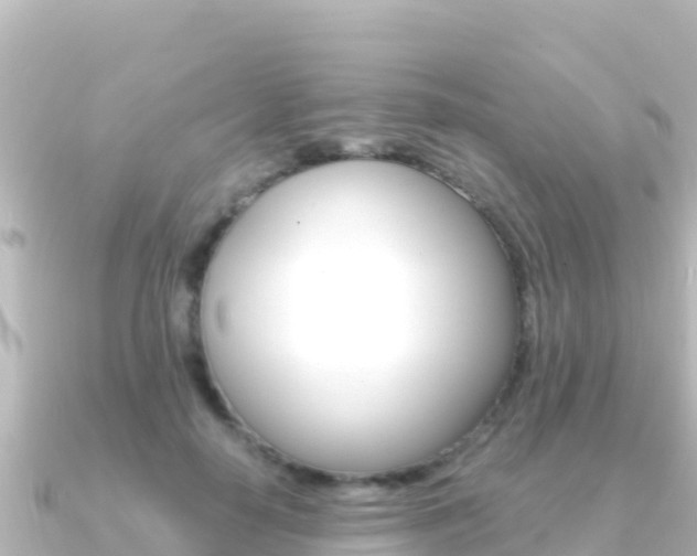 X0000091240650200708091132