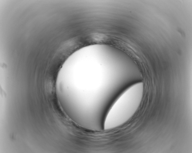 X0000091240651200708091132