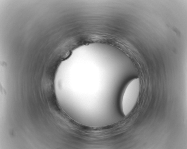 X0000091240653200708091132