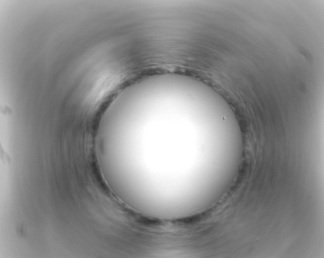 X0000091240656200708091132
