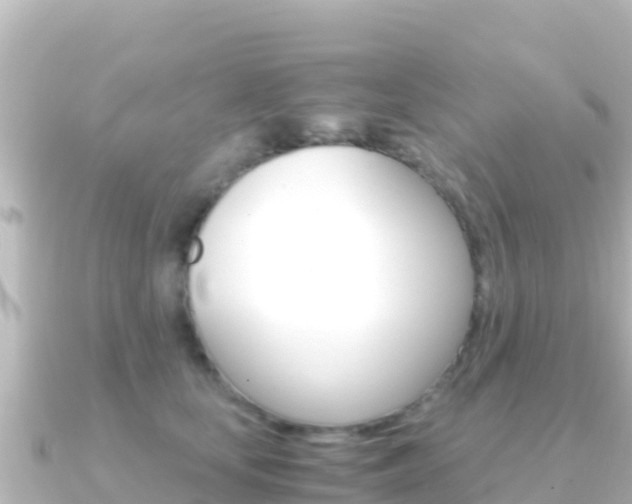 X0000091240659200708091132