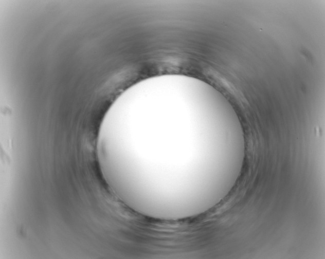 X0000091240661200708091132