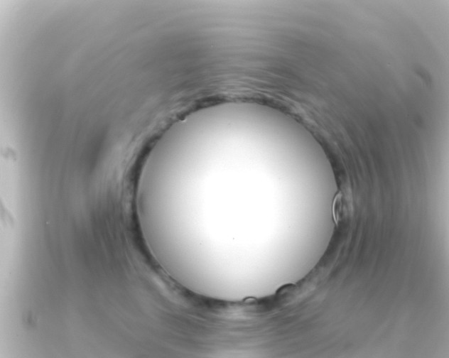 X0000091240664200708091132